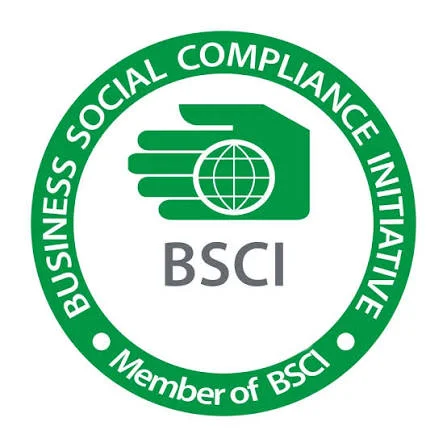 BSCI ISO 9001